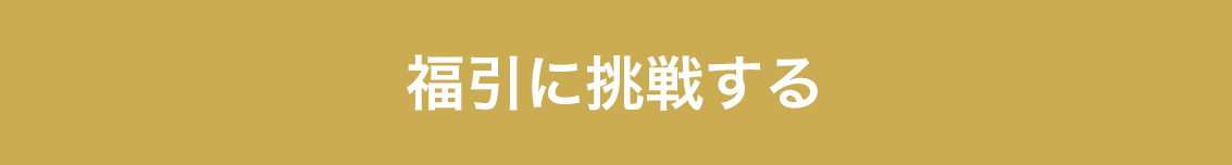 福引きに挑戦する